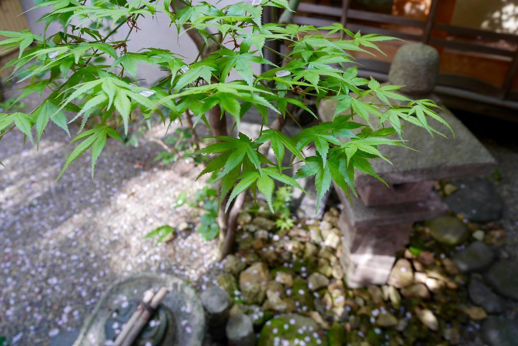 100 Years Old Traditional Kyoto Machiya Townhouse - K'S Villa Luaran gambar